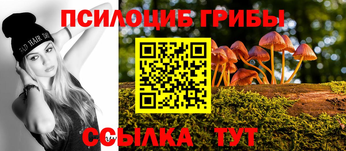 Псилоцибиновые грибы Magic Shrooms  Галлюциногенные грибы прущие грибы  Тверь  Вход с VPN 